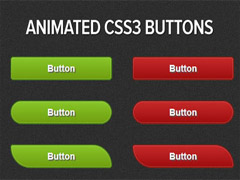 Animated Buttons, animation css3, button, css3, css3 button